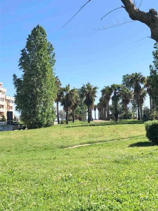 Vita Marina Apartment Porto Sant'Elpidio Bagian luar foto